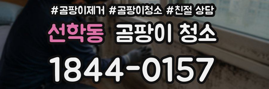 선학동 곰팡이 청소