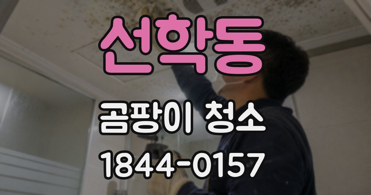 선학동 곰팡이 청소