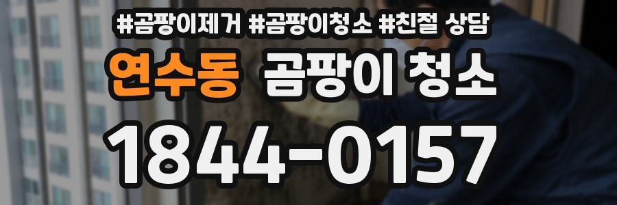 연수동 곰팡이 청소
