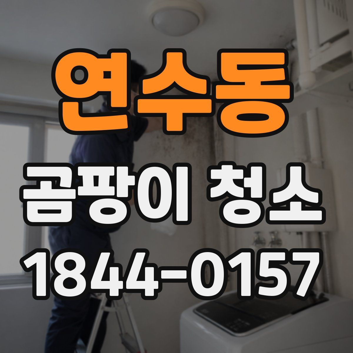 연수동 곰팡이 청소