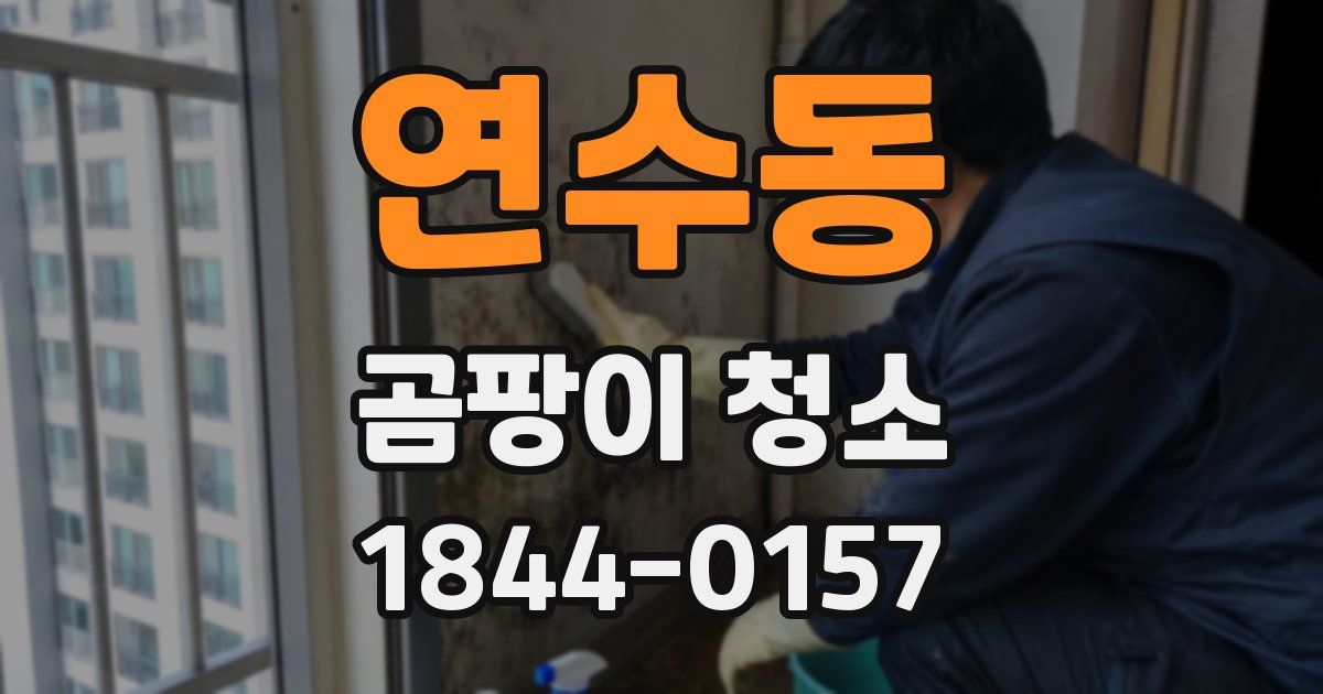 연수동 곰팡이 청소