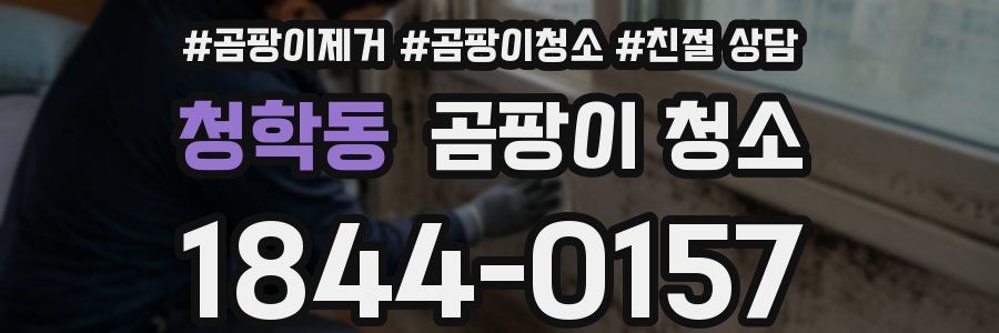청학동 곰팡이 청소