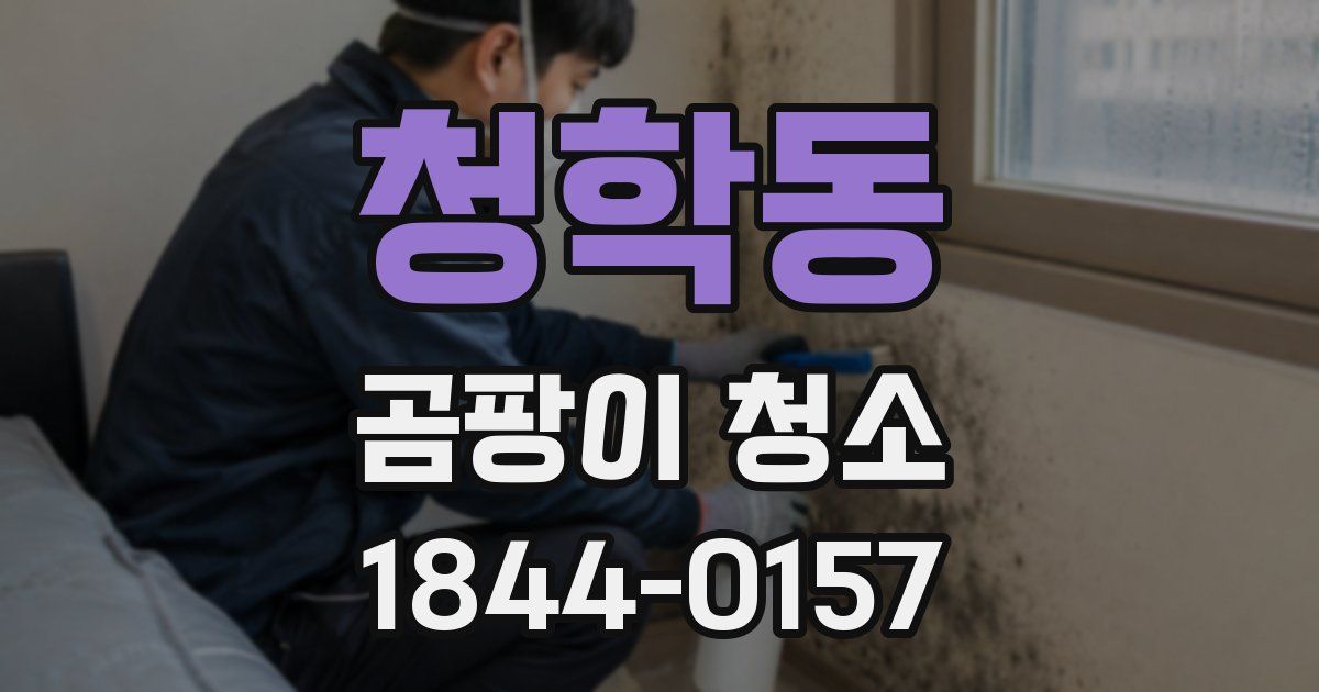 청학동 곰팡이 청소