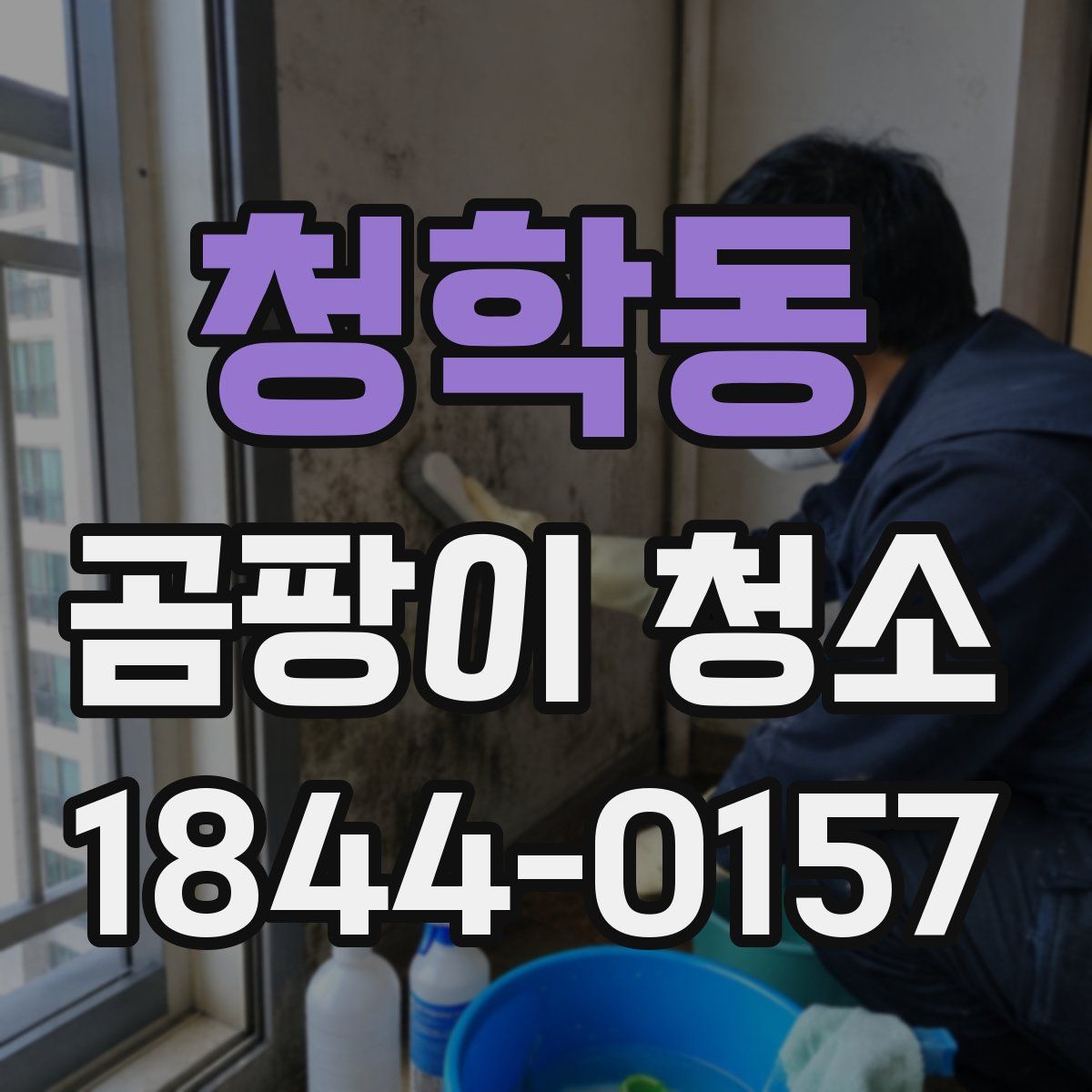 청학동 곰팡이 청소