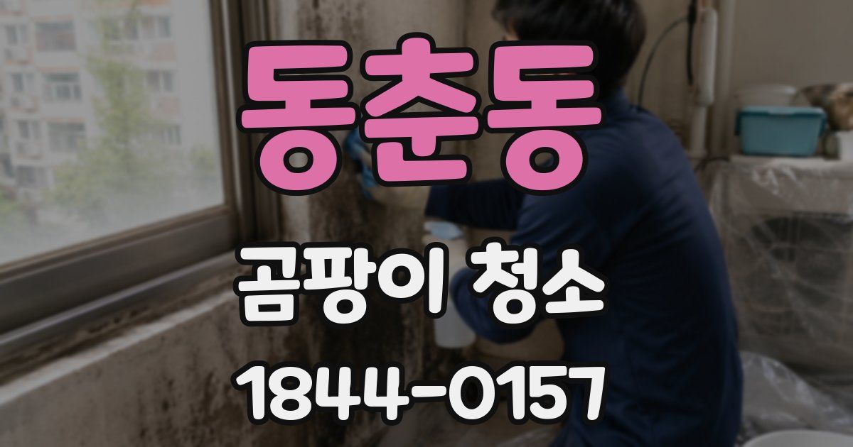 동춘동 곰팡이 청소