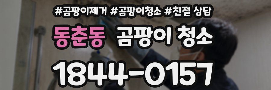 동춘동 곰팡이 청소