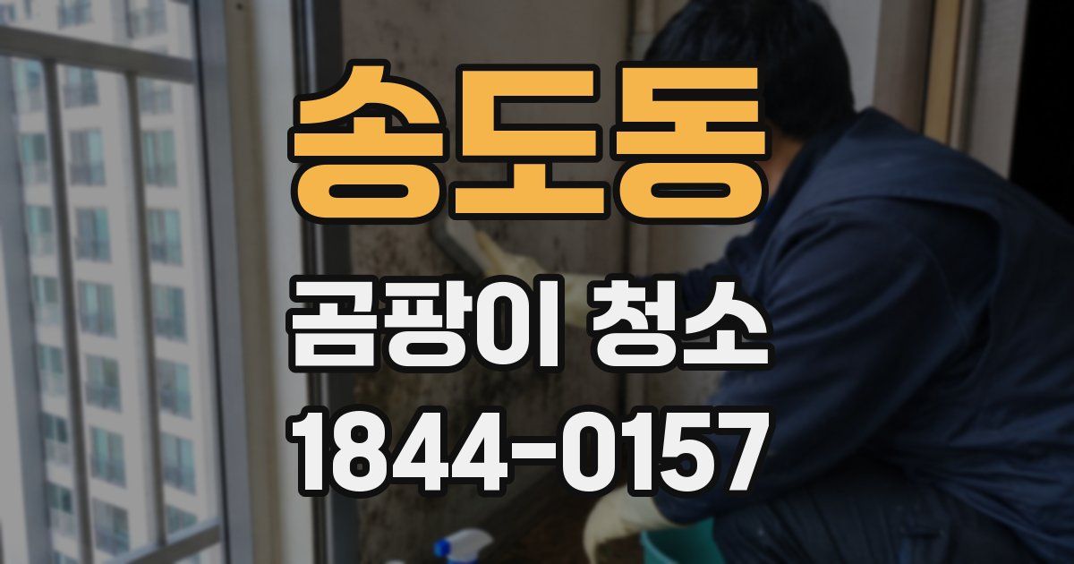송도동 곰팡이 청소