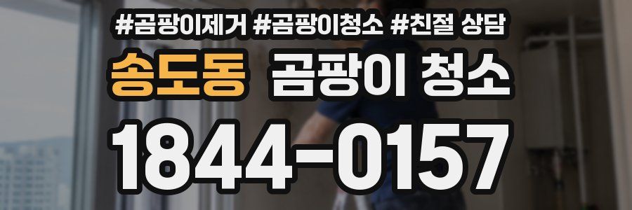 송도동 곰팡이 청소