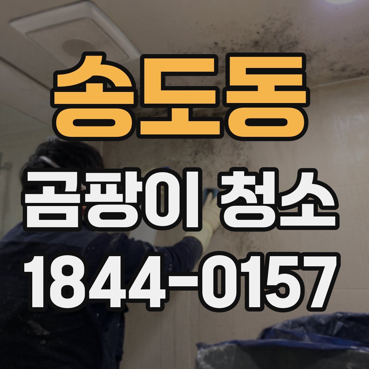 송도동 곰팡이 청소