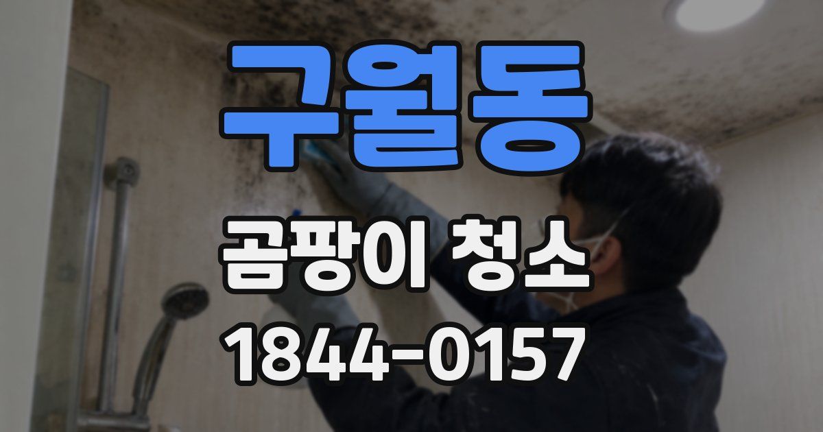 구월동 곰팡이 청소