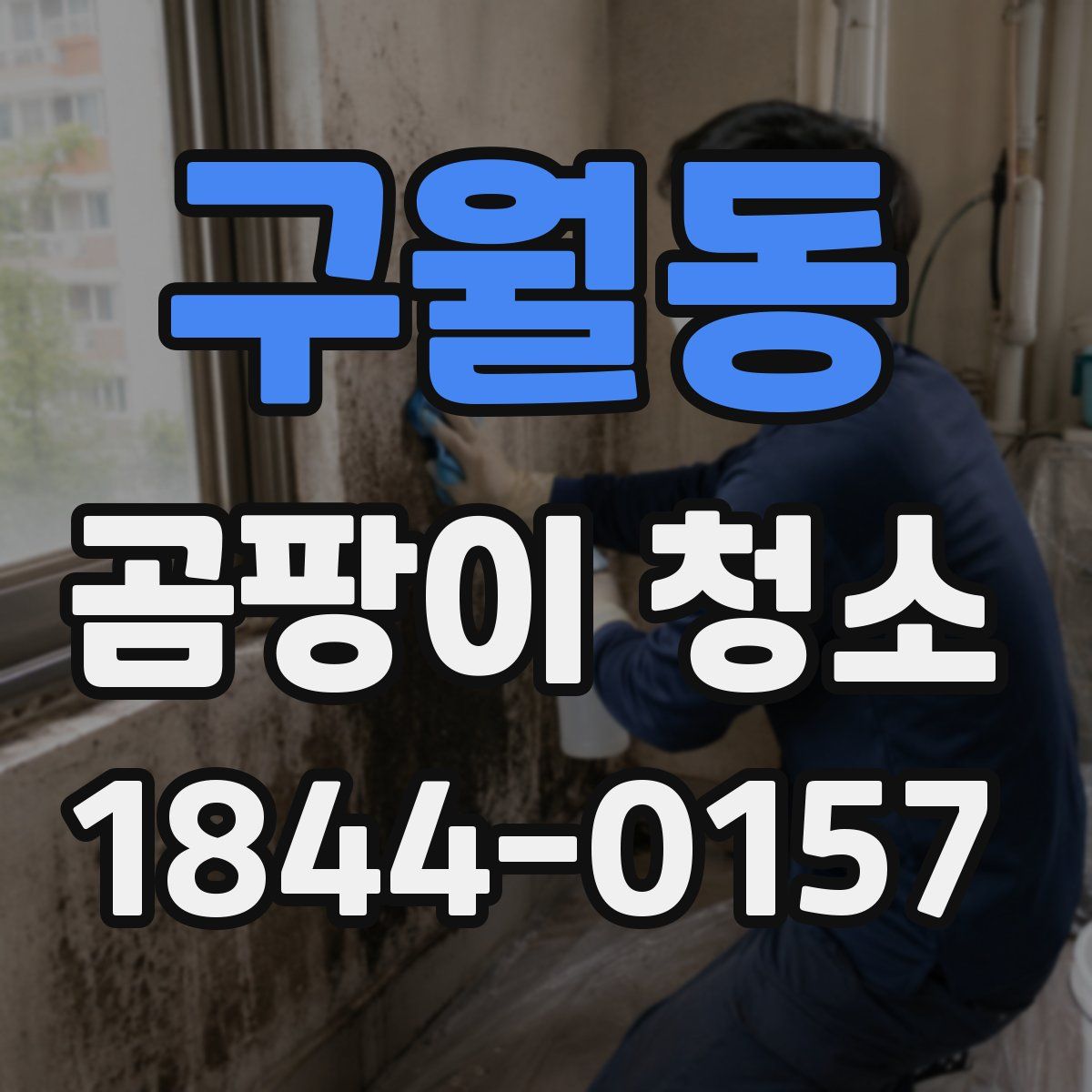 구월동 곰팡이 청소