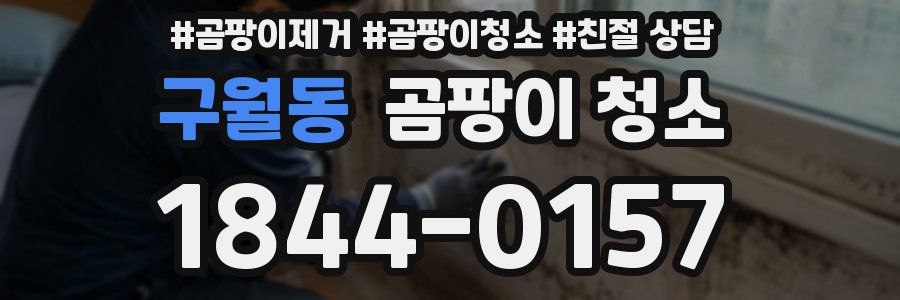 구월동 곰팡이 청소