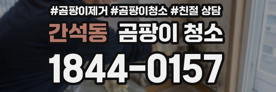 간석동 곰팡이 청소