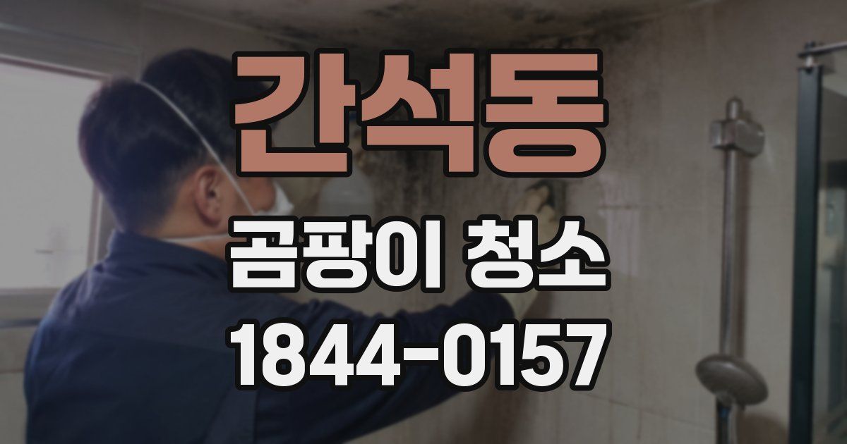 간석동 곰팡이 청소