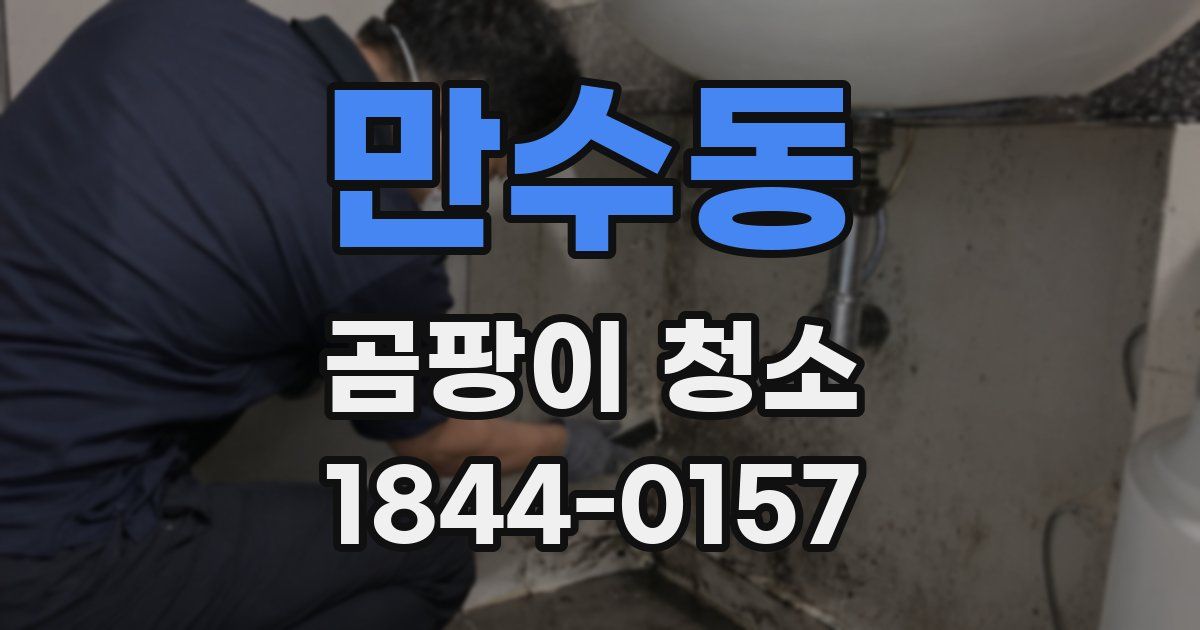 만수동 곰팡이 청소