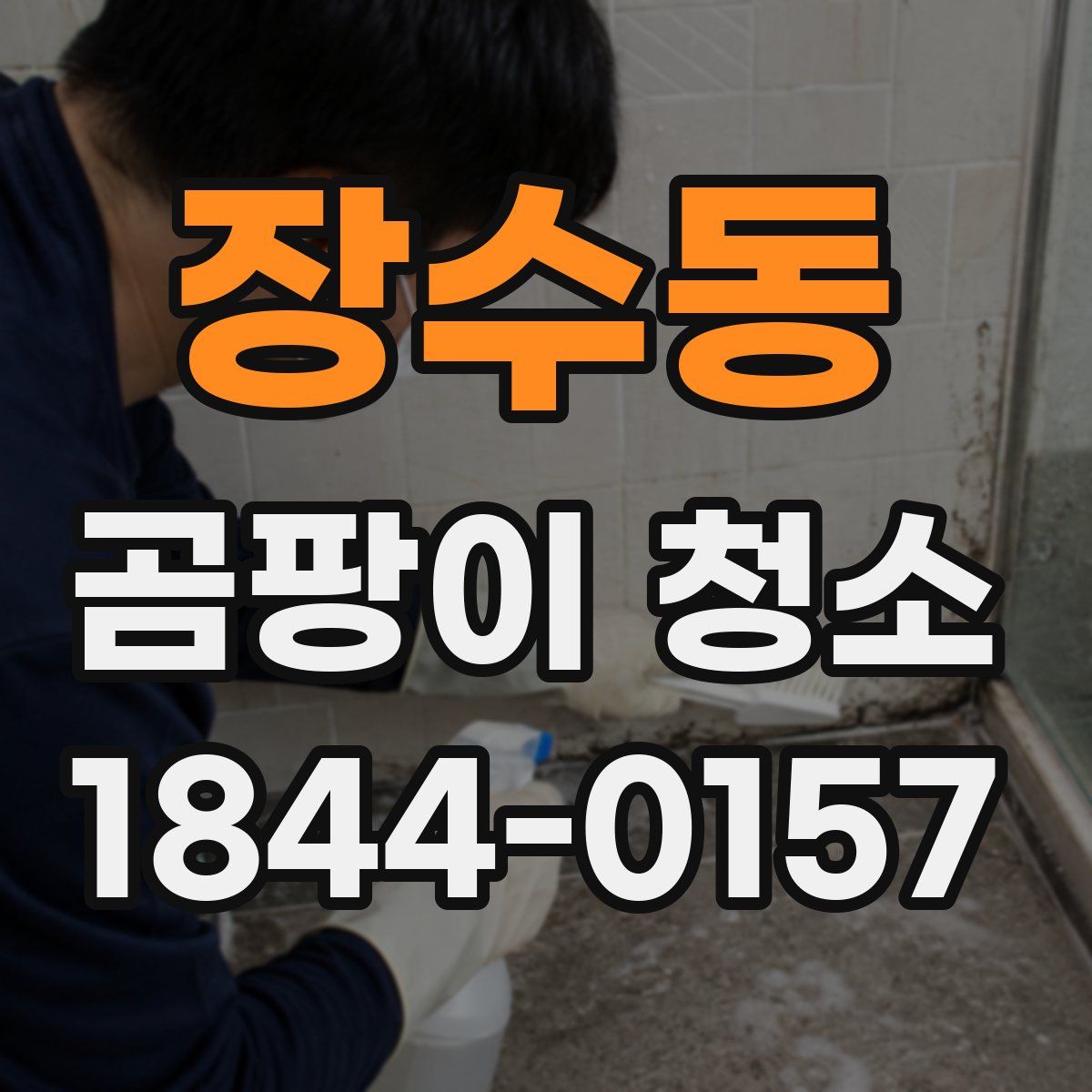 장수동 곰팡이 청소