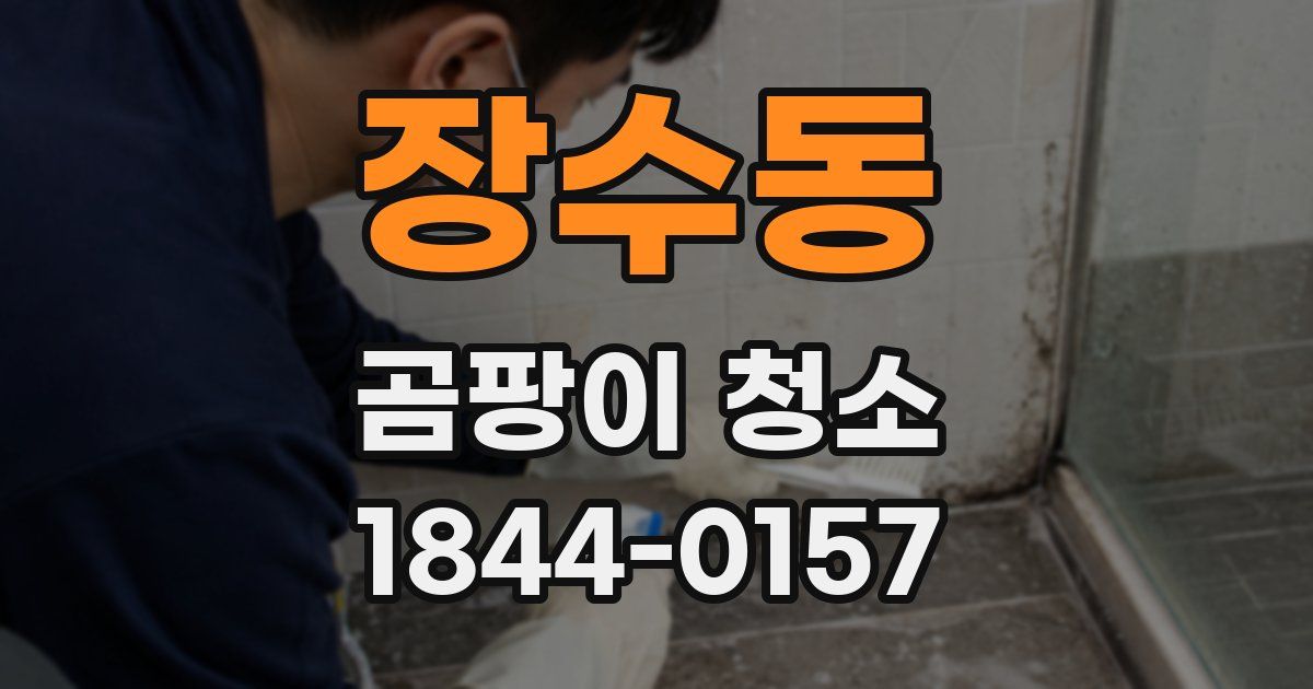 장수동 곰팡이 청소