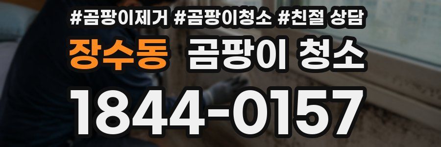 장수동 곰팡이 청소