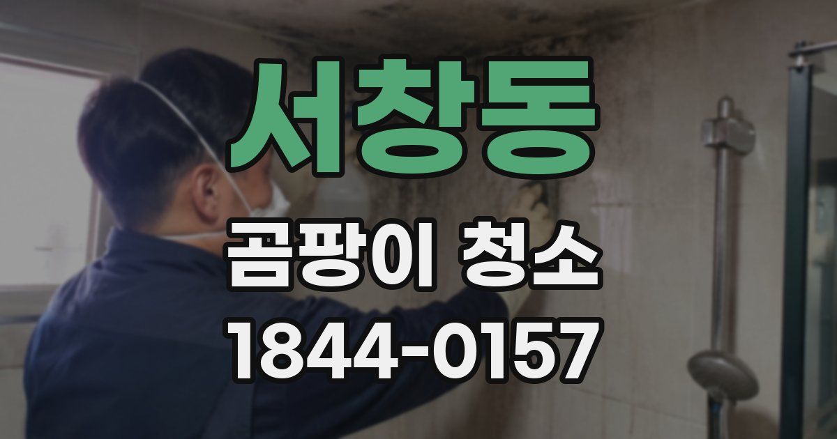 서창동 곰팡이 청소