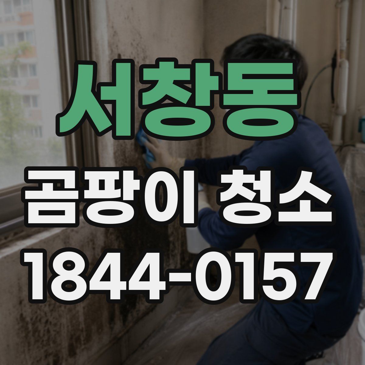 서창동 곰팡이 청소