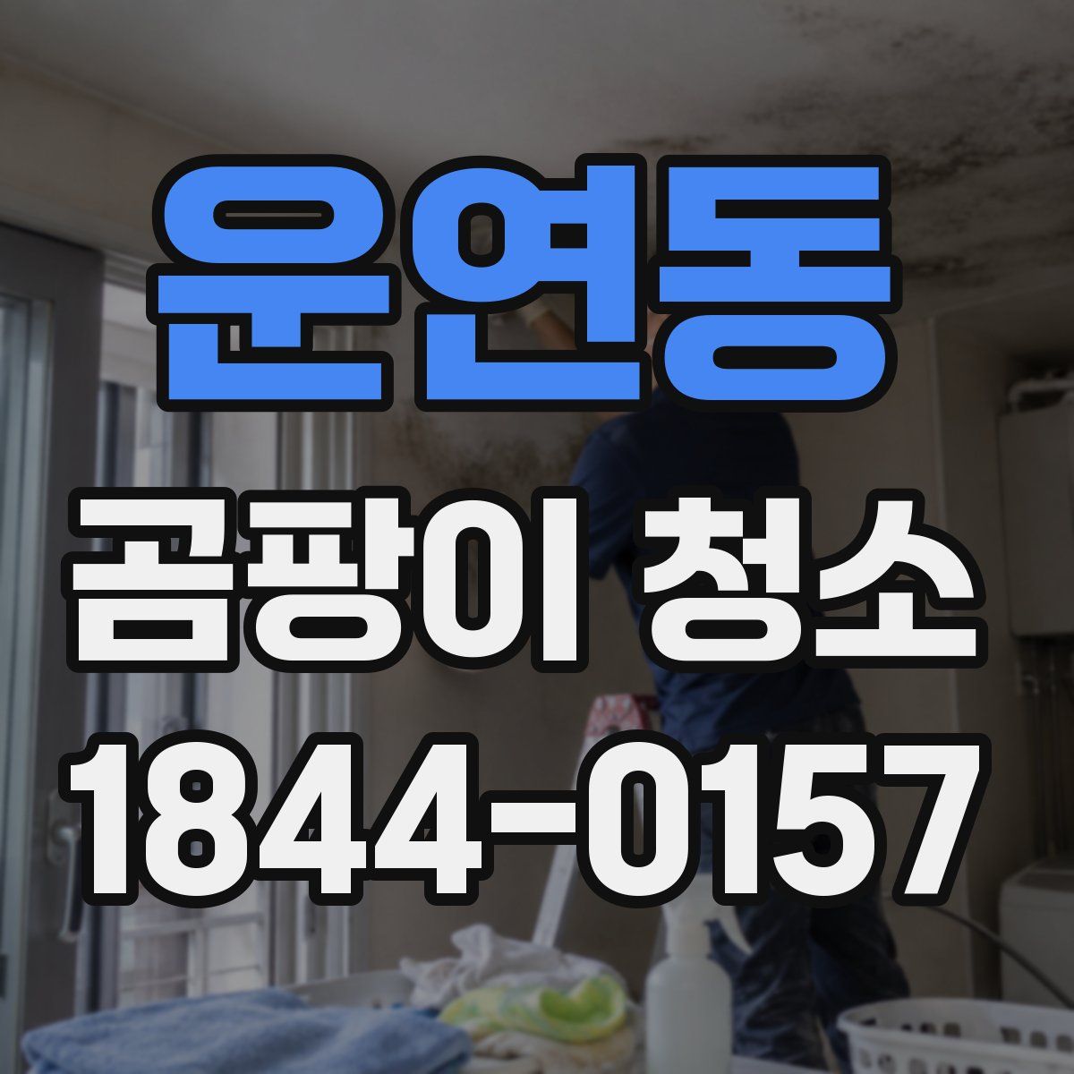 운연동 곰팡이 청소
