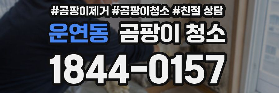 운연동 곰팡이 청소