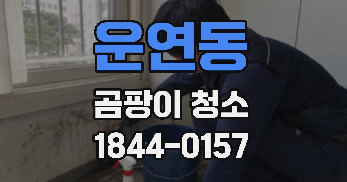 운연동 곰팡이 청소