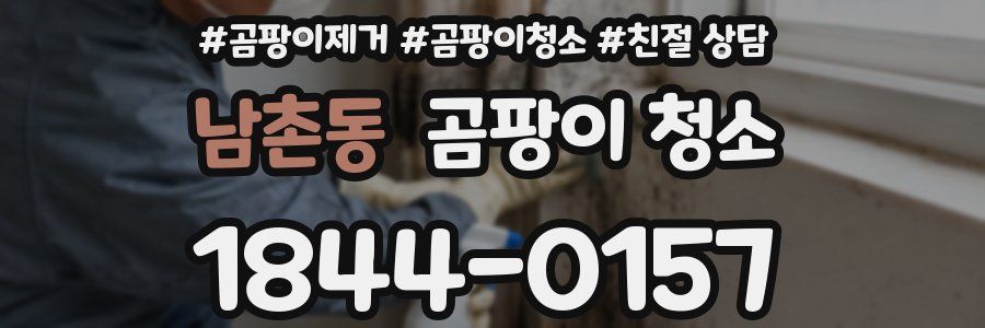 남촌동 곰팡이 청소