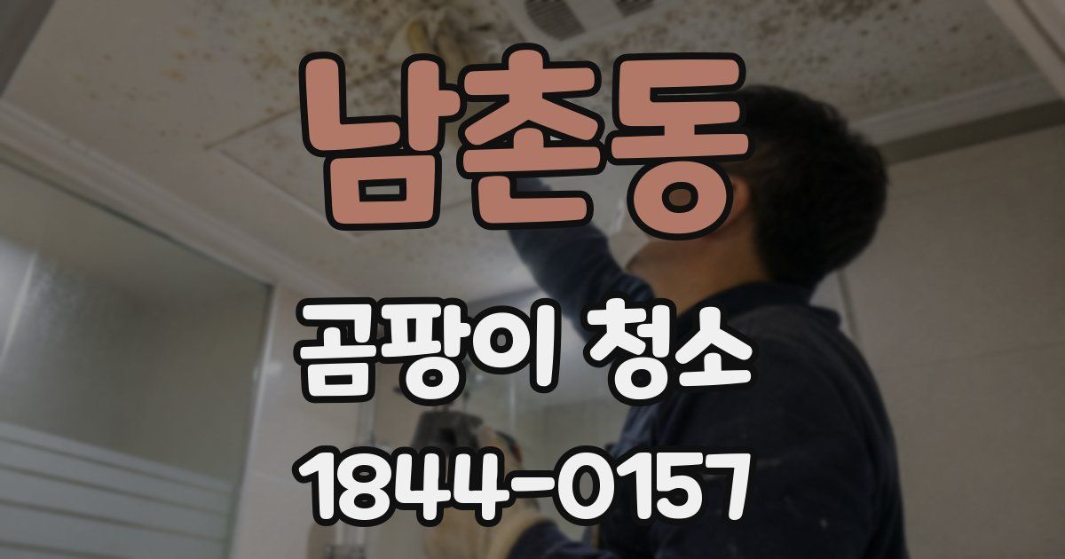 남촌동 곰팡이 청소