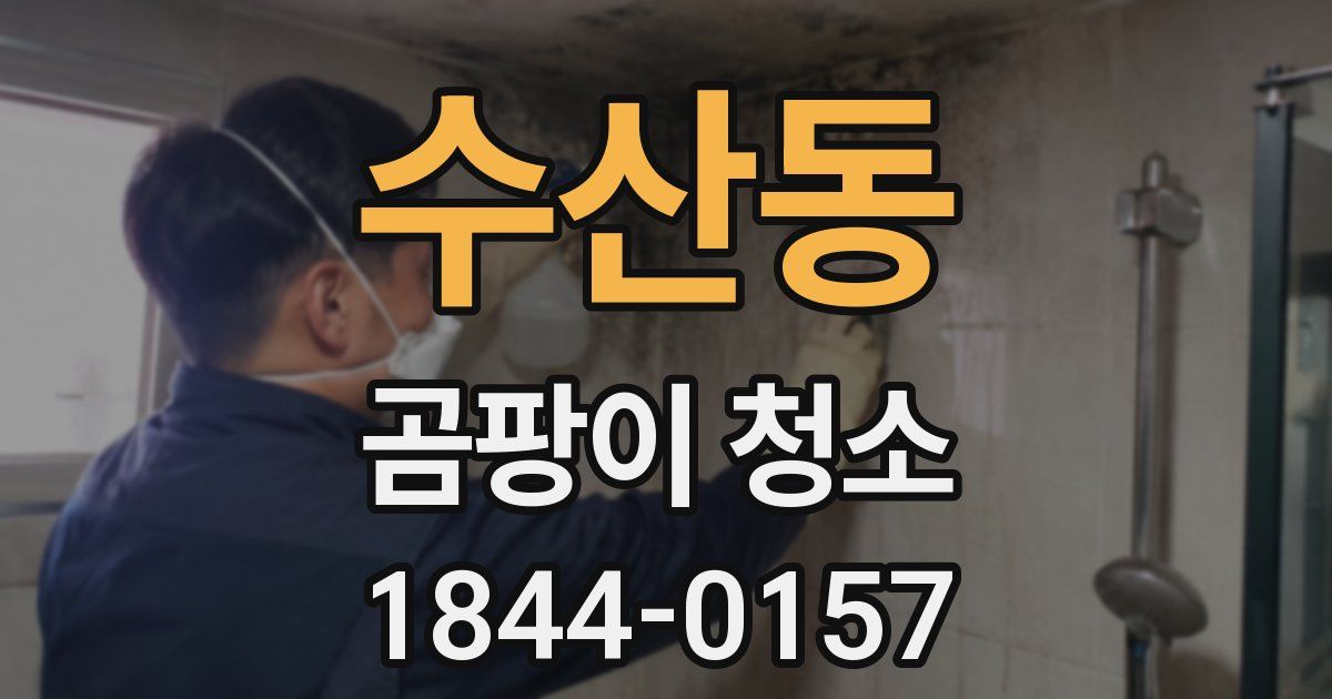 수산동 곰팡이 청소