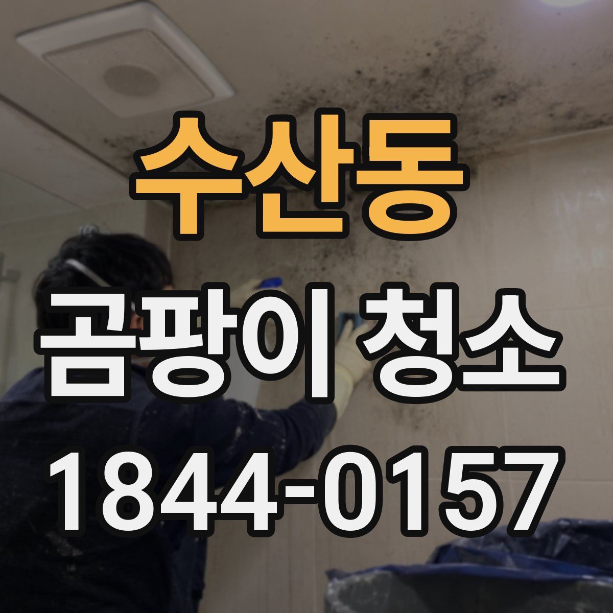 수산동 곰팡이 청소
