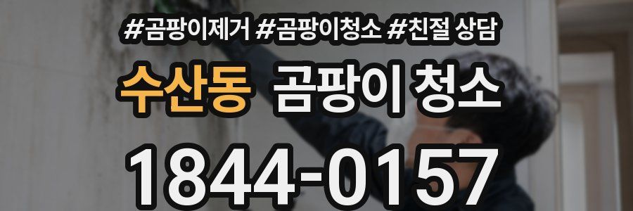 수산동 곰팡이 청소