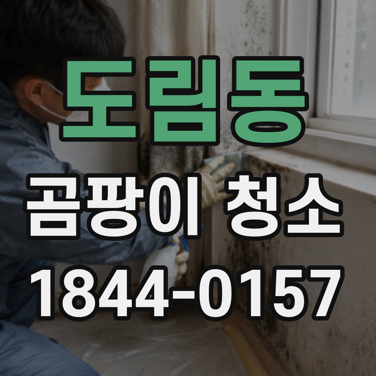 도림동 곰팡이 청소
