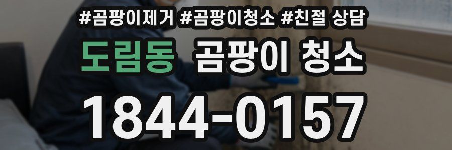 도림동 곰팡이 청소