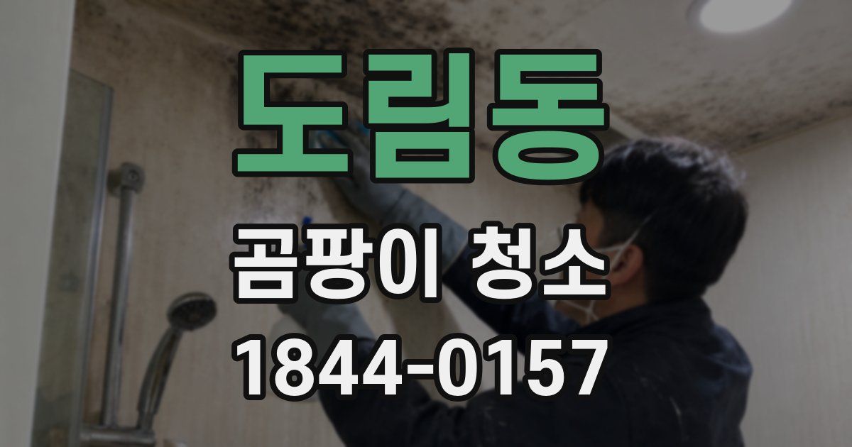 도림동 곰팡이 청소