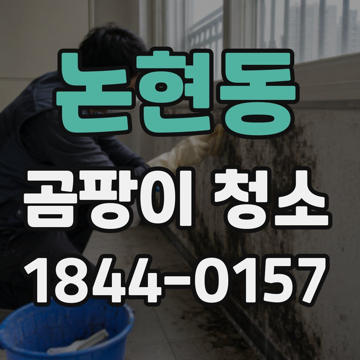논현동 곰팡이 청소