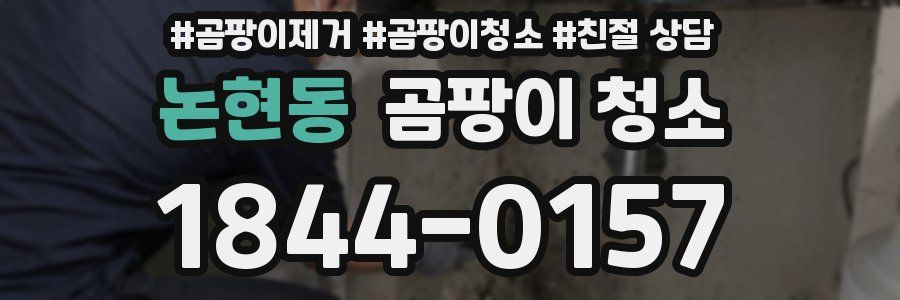 논현동 곰팡이 청소