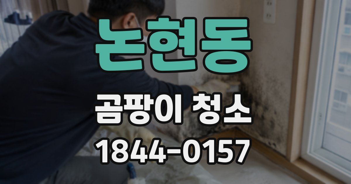논현동 곰팡이 청소