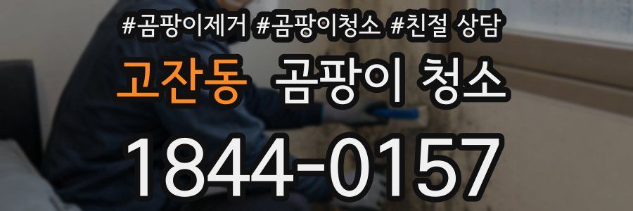 고잔동 곰팡이 청소