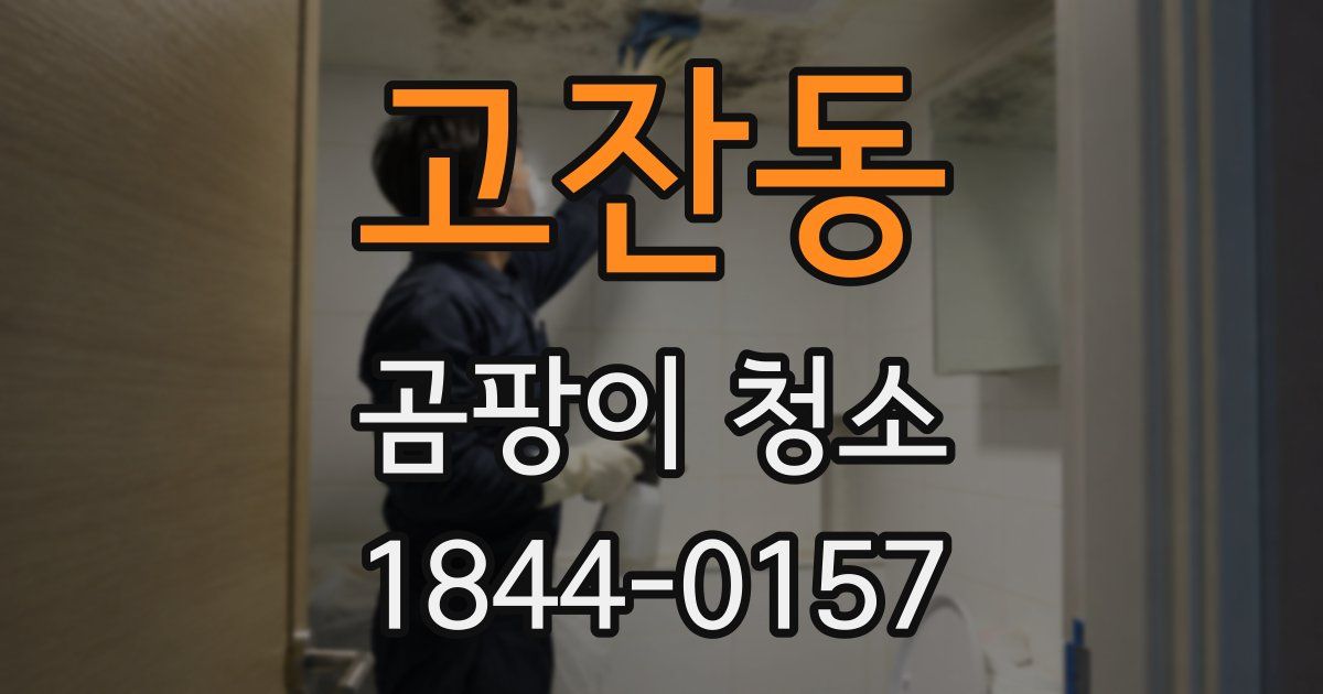 고잔동 곰팡이 청소