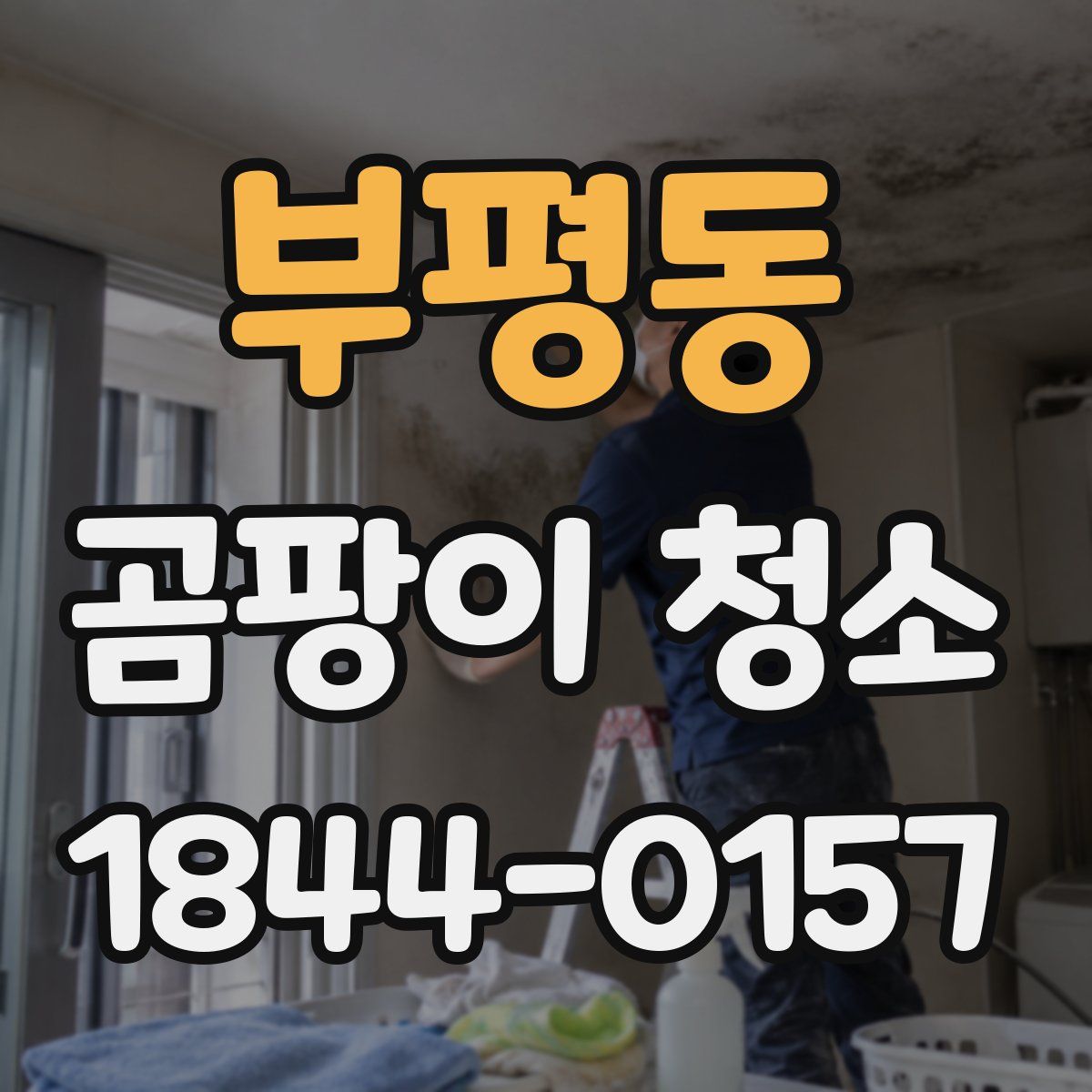 부평동 곰팡이 청소
