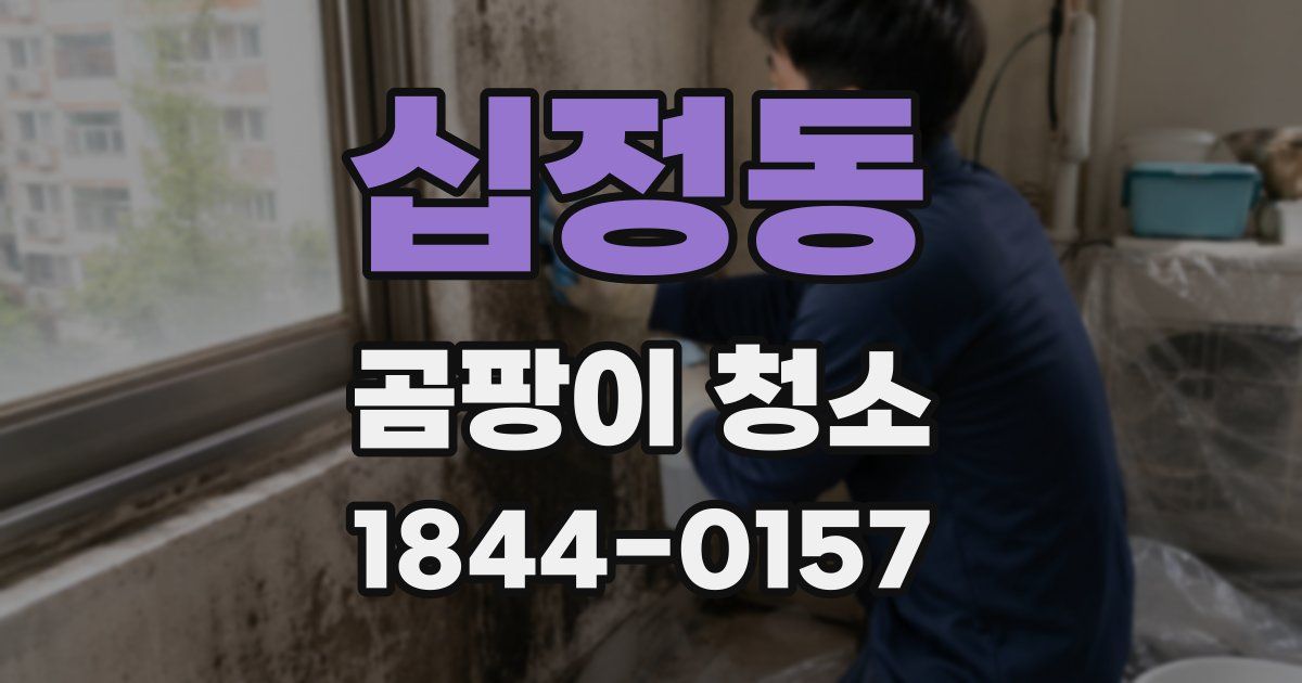 십정동 곰팡이 청소