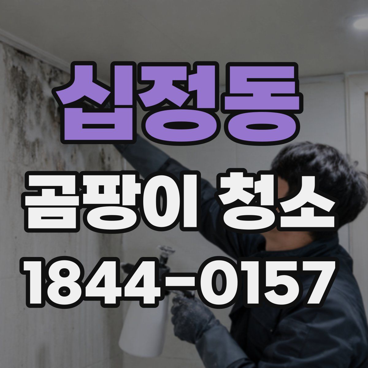 십정동 곰팡이 청소
