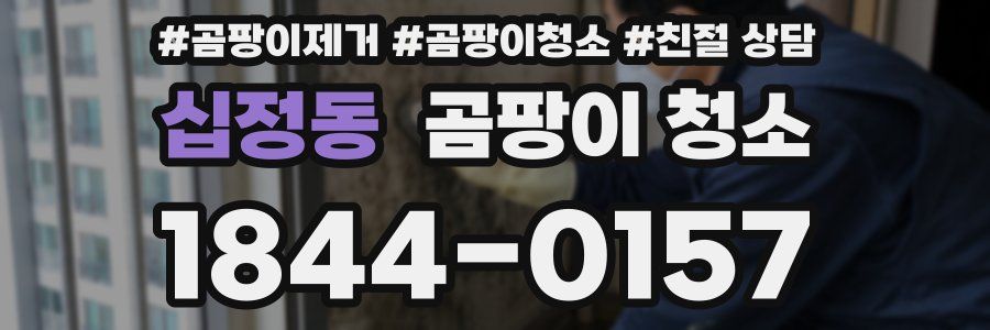 십정동 곰팡이 청소