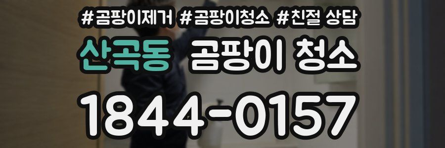 산곡동 곰팡이 청소