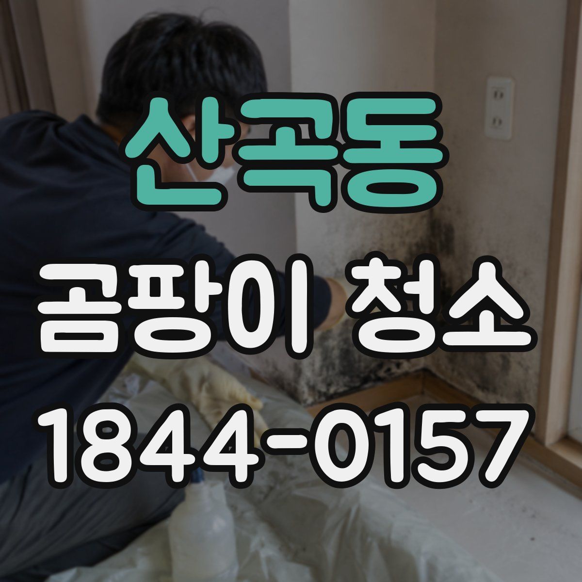 산곡동 곰팡이 청소
