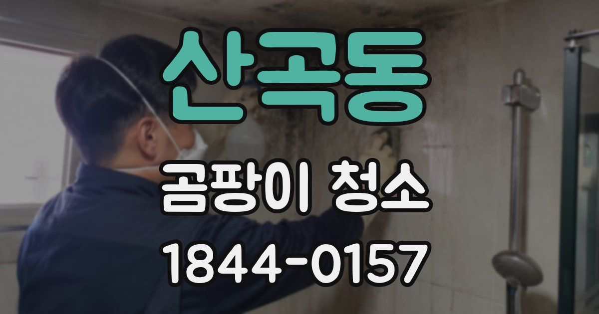 산곡동 곰팡이 청소