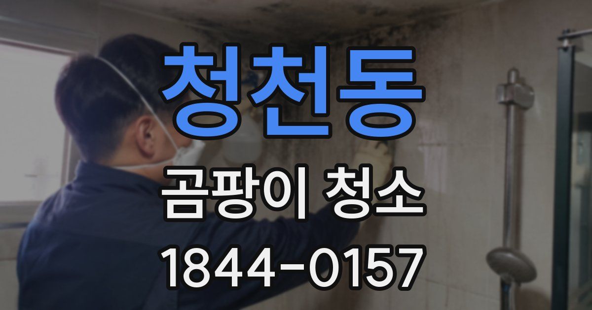 청천동 곰팡이 청소