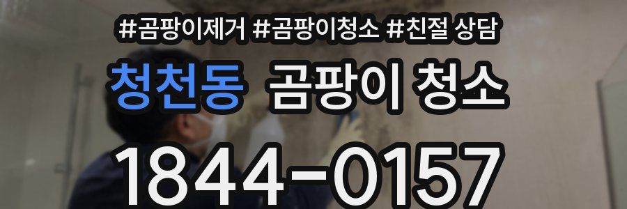 청천동 곰팡이 청소