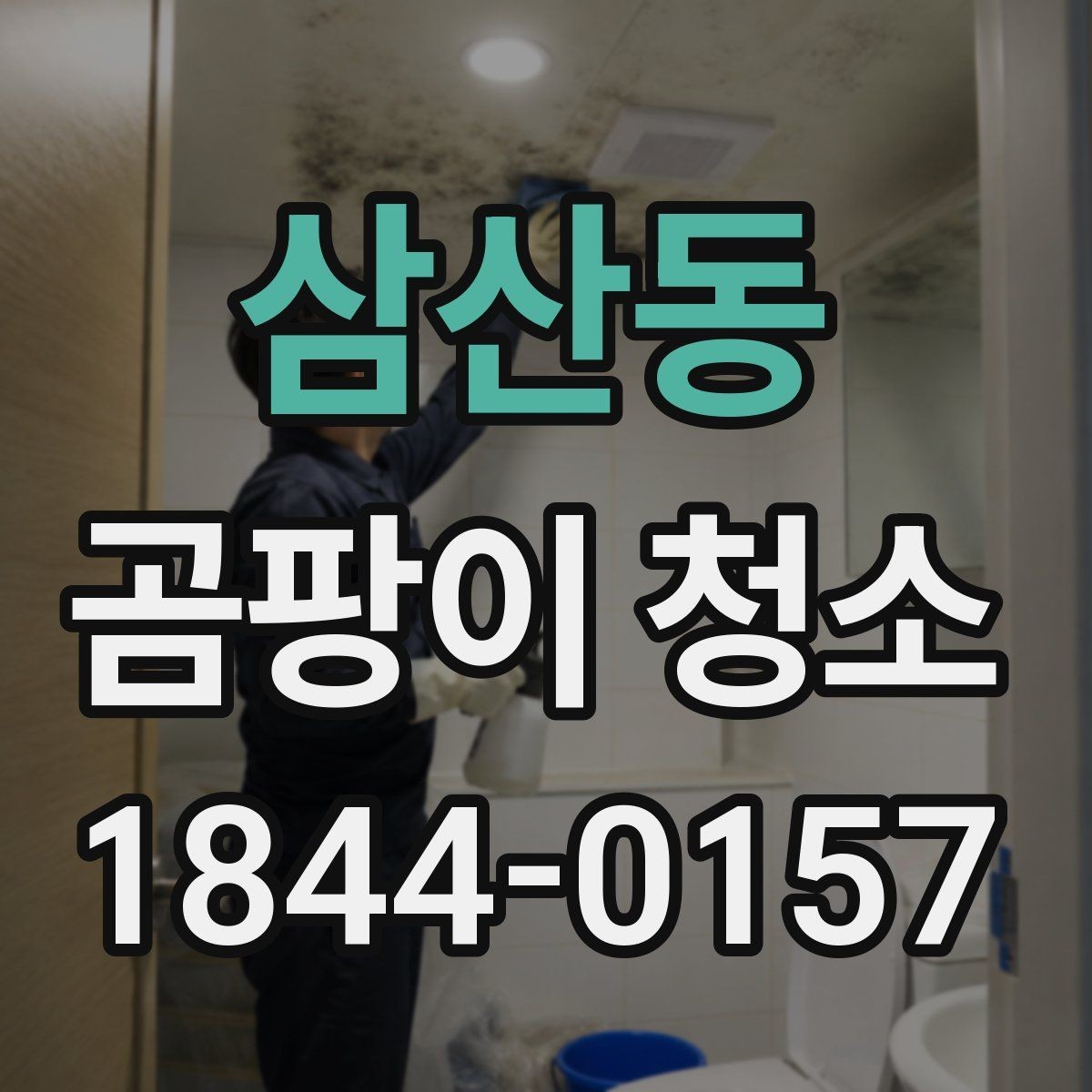 삼산동 곰팡이 청소 후기에서 자주 보이는 항목